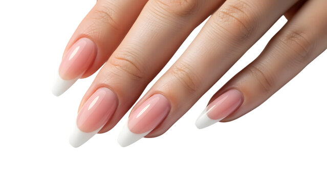 Woman's hand with french manicured nails isolated on a transparent background fingers white tips