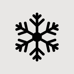 snowflake, winter, cold, ice, frost, frozen, crystal, weather, snowfall, icy, chill, freeze, seasonal, holiday, christmas, decoration, nature, symmetry, geometric, pattern, climate, temperature, arcti