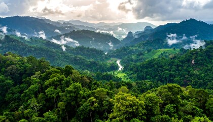 Lush, verdant landscape showcasing rolling hills and mountains shrouded in mist under a cloudy sky, with dense trees