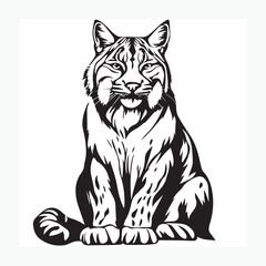 Obraz premium vector illustration of a cat