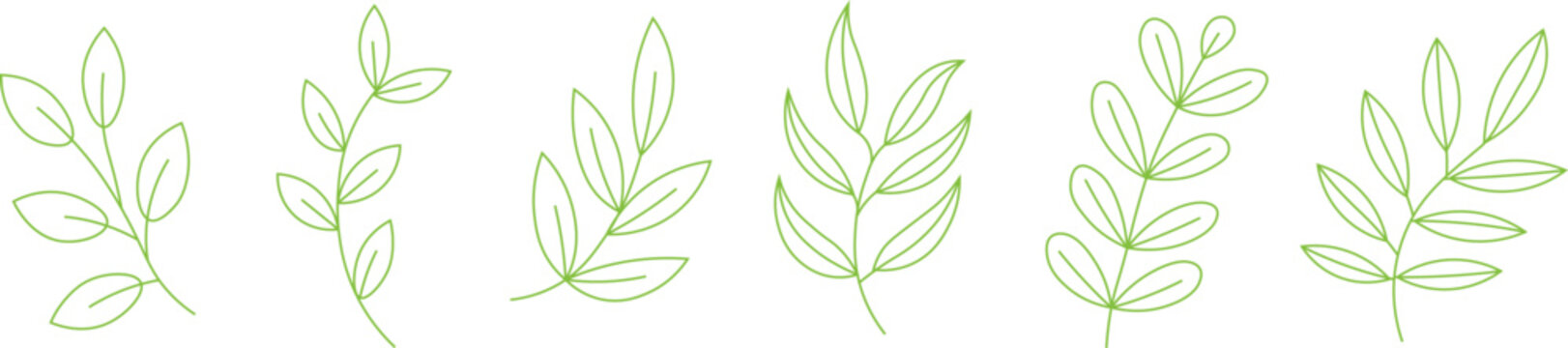 Minimalist Green Leaf Vector Set for Botanical Design