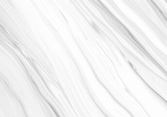 Obraz premium abstract white and silver are light pattern gray with the gradient is the with floor wall metal texture soft tech diagonal background black dark clean modern.