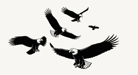 Obraz premium Flying eagles group with transparent background