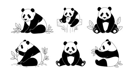 Fototapeta premium Panda bear poses with bamboo leaves