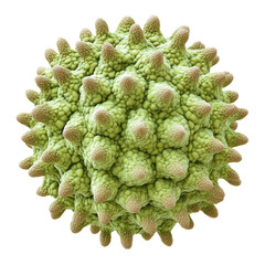 A cluster of spiny, green viral cells with an intricate surface.