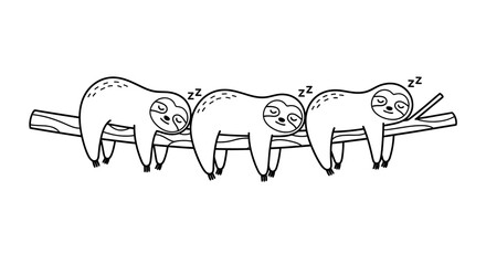 Obraz premium Sleeping sloths hanging from a branch