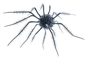 A blue and black virus with long, spider-like appendages.