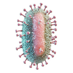 A multicolored virus with a combination of blue, red, and green appendages.