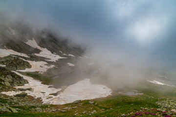 Beautiful fir tree forests, pristine glacier lake, rocks and spring flowers in the Transylvanian Alps in summer