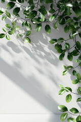 Fresh green leaves extend from thin branches on a clean white background, creating a minimalist and natural botanical composition. 