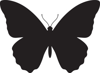 Butterfly Silhouette