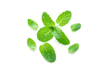 Mint leaf. Fresh mint on white background. © Роман Фернаті