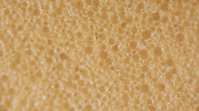 Closed-cell polyurethane sponge foam structure under microscope