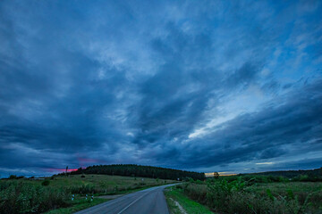 dark clouds over a pine forest