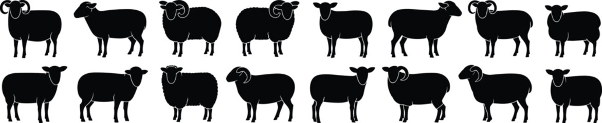 Sheep silhouettes collection farm animal icons black vector set livestock illustration isolated rural agriculture design elements farming pastoral wool animals