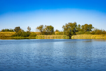 Summer lake in the wild