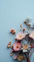 Minimalist Pastel Flower Arrangement with Pink and White Blossoms on Light Blue Background for Elegant Botanical Design

