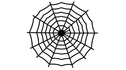 Obraz premium Intricate Spider Web with Delicate Threads