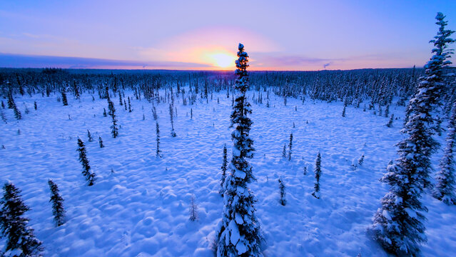 Winter Solstice in the Arctic