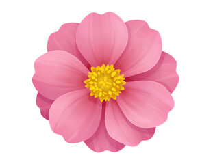 Pink Flower With Yellow Center