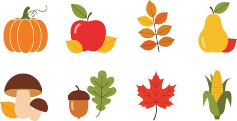 Autumn harvest collection featuring pumpkins apples pears and other fall produce © mst