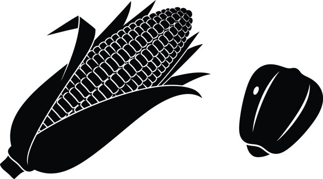 Black and white illustration of a corn cob with husk and a single kernel