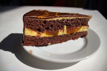 Chocolate cake slice with cream filling on plate
