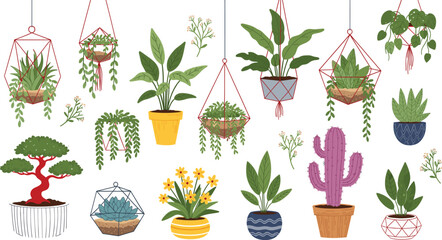 Large set of colorful flat vector indoor plants featuring hanging terrariums bonsai trees cacti and blooming floral houseplants