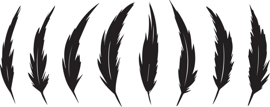 A collection of sharp black abstract feather like brush stroke artistic elements