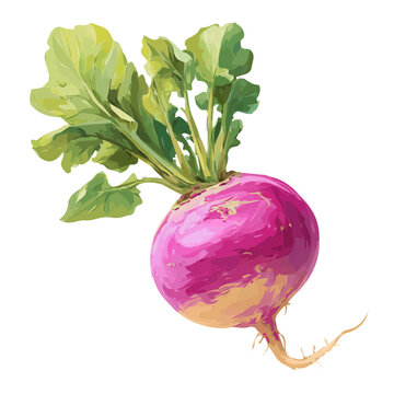 Turnip, presented as a modern flat 2D vector icon graphic on a white background