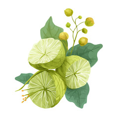 Minimal 2D flat vector of a Shankhpushpi, icon-style illustration on a white background