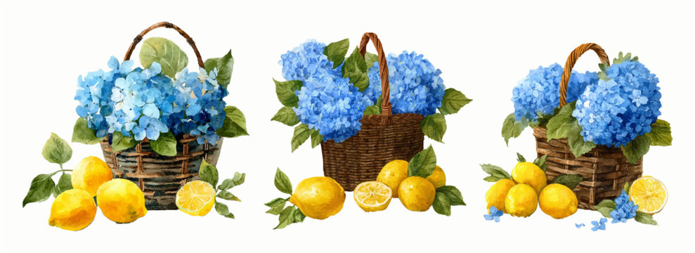 Vintage watercolor basket filled with hydrangeas and scattered yellow lemons. Italian summer elements. Botanical illustration of the Mediterranean coast with fruit and floral elements.