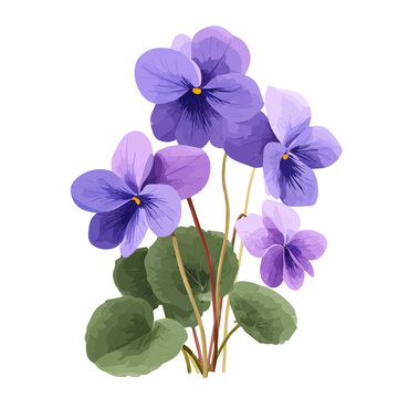Sweet Violet, presented as a modern flat 2D vector icon graphic on a white background