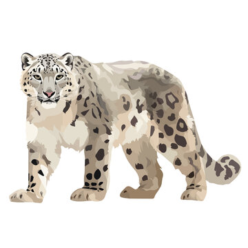 Snow Leopard, illustrated as a clean 2D flat vector icon isolated on a white background