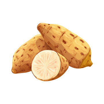 Flat-design 2D vector artwork of a Yam, styled as an icon and isolated against white background