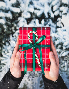 Top view hands holding wrapped Christmas gift over snowy branches.