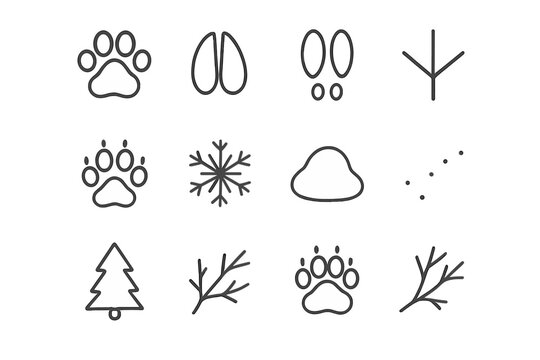 Snowy Trail Icons. Snowy trail clues. Line outline icon set of Snowy trail clues: paw print, deer hoof, rabbit