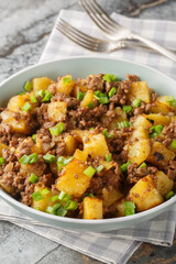 One pan ground beef and potatoes is cozy, savory and tasty closeup on the plate on the table. Vertical