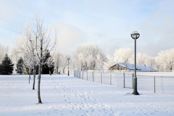 Frosted Trees and a Snow Covered Park on a Winter Morning in Lac-Megantic, Quebec, Canada