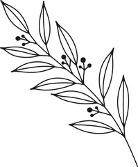 Minimal Leaf Branch Botanical Line Art with Simple Elegant Foliage Black and White Vector Illustration