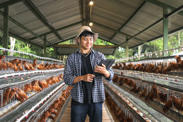 Modern Farmer Uses Tablet for Smart Farming in Chicken Coop With Rows of Hens © Gatot
