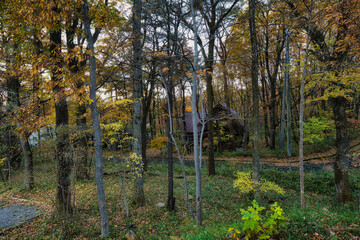 窓越しに見える美しい秋の風景