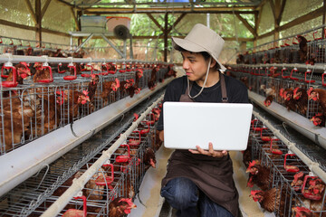 Innovative Farmer Using Tech to Manage His Vibrant Chicken Farm © Gatot