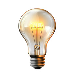 A bright light bulb is lit up, providing light in a dim space. It hangs from a metal socket