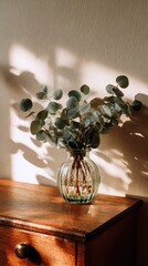 Eucalyptus in a Glass Vase on a Wooden Cabinet with Warm Sunlight and Shadow Play Against White Wall Texture in Natural Ambient Lighting