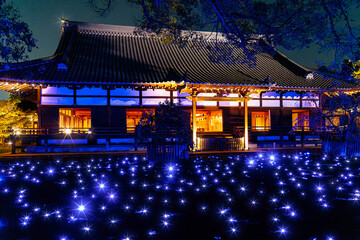 京都、青蓮院のライトアップ