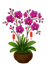 Vietnamese Tet Purple Orchid Plant in Pot Transparent Background