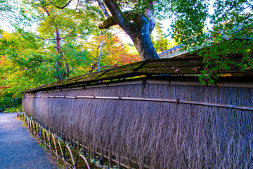 京都、宝厳院のたけほがき