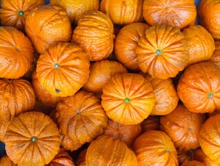 Pumpkin Oranges or Pumpkin Mandarins. Fall Season. Autumn Season. Halloween