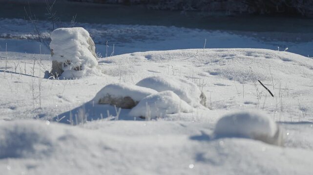 Snow-covered stones rest along a frozen riverbank as soft winter light reveals smooth shapes, subtle shadows, and calm seasonal stillness in a cold natural setting